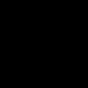 Meet your Posher, •blxcknoami•